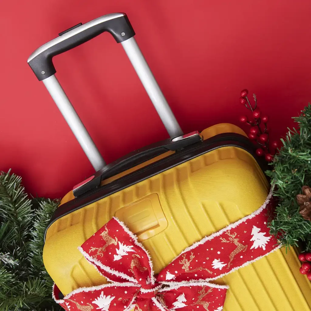 maleta con un lazo de regalo
